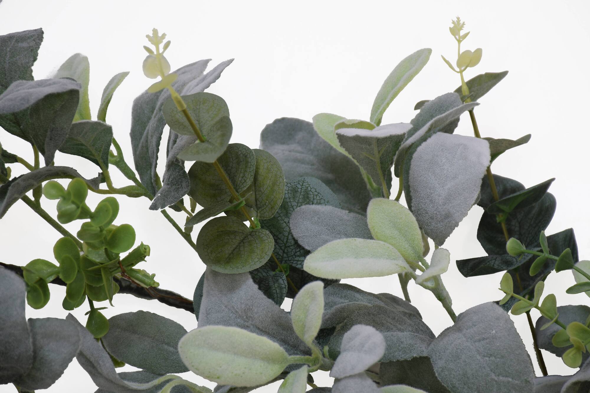 6 Pack: 6ft. Green Lambs Ear Garland